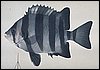 10_05.jpg